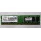 Модуль оперативной памяти 4Gb DDR2 Patriot PSD24G8002 pc-6400 (800MHz)  (Лыткарино)