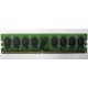 Модуль оперативной памяти 4096Mb DDR2 Patriot PSD24G8002 pc-6400 (800MHz)  (Лыткарино)