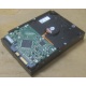 Жесткий диск HP 250Gb 7200 rpm 432337-001/ 399699-001 / 397377-004 (Лыткарино)