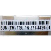 Серверная память SUN (FRU PN 371-4429-01) 4096Mb (4Gb) DDR3 ECC в Лыткарино, память для сервера SUN FRU P/N 371-4429-01 (Лыткарино)
