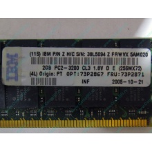 IBM 73P2871 73P2867 2Gb (2048Mb) DDR2 ECC Reg memory (Лыткарино)