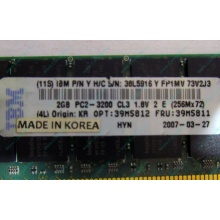 IBM 39M5811 39M5812 2Gb (2048Mb) DDR2 ECC Reg memory (Лыткарино)