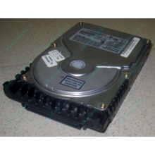 Жесткий диск 18.4Gb Quantum Atlas 10K III U160 SCSI (Лыткарино)