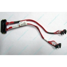 SATA-кабель для корзины HDD HP 451782-001 459190-001 для HP ML310 G5 (Лыткарино)