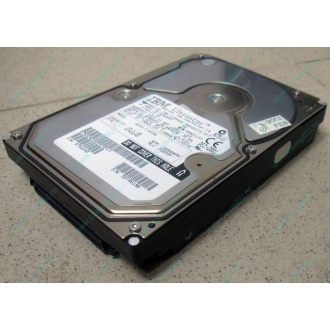 Жесткий диск 18.2Gb IBM Ultrastar DDYS-T18350 Ultra3 SCSI (Лыткарино)