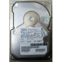Жесткий диск 18.2Gb IBM Ultrastar DDYS-T18350 Ultra3 SCSI (Лыткарино)
