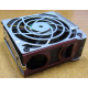 HP 224977 (224978-001) for Proliant ML370 G2/G3/G4 (Лыткарино).