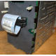 HP 365664-001 кабель SCSI для корзины 373108-001 / 359719-001 HP ML370G4 (Лыткарино)