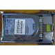 HDD 146.8Gb HP 360205-022 404708-001 404670-002 (Лыткарино)