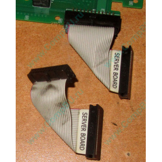 6017B0045701 Шлейф 24 pin для Intel C74974-401 T0043401-B01 корпуса SR2400 (Лыткарино)