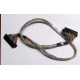 Intel 6017B0045301 в Лыткарино, 68 pin SCSI кабель 26.5" / 57см для корзины HDD корпуса SR2400 (Лыткарино)