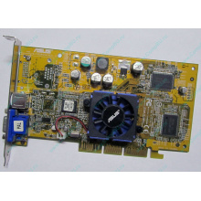 Видеокарта Asus V8170 64Mb nVidia GeForce4 MX440 AGP Asus V8170DDR (Лыткарино)