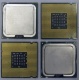 Процессоры Intel Pentium-4 506 (2.66GHz /1Mb /533MHz) SL8J8 s.775 (Лыткарино)