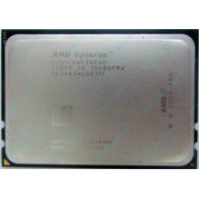 AMD Opteron 6128 OS6128WKT8EGO (Лыткарино)