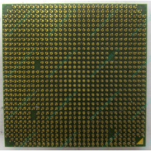 Процессор AMD Sempron 3000+ (1.6GHz) SDA3000IAA3CN s.AM2 (Лыткарино)